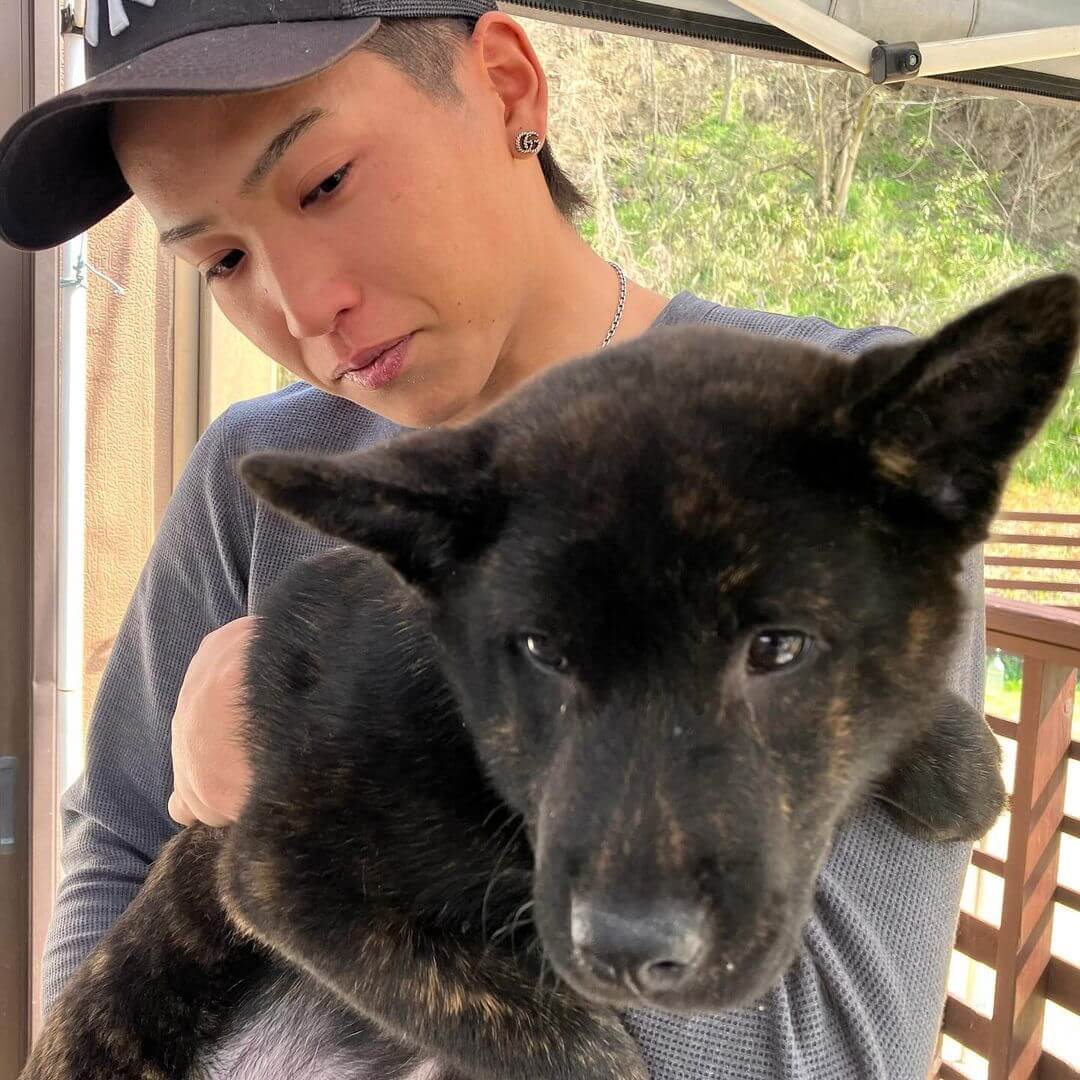 備前ノ月読命× 備前迦具夜比賣の子 / 備前岡山美里犬舎 岡山の甲斐犬専門犬舎