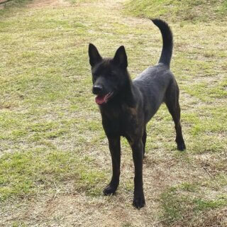 R.7.11月 巣立ち前〜