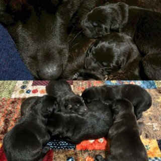 城南乃天竜💕ノアの子、城南乃天竜💕城南ノ桜の子